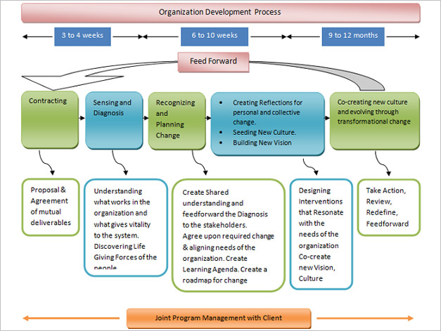 Organization Devlopment Process Organization Devlopment Process